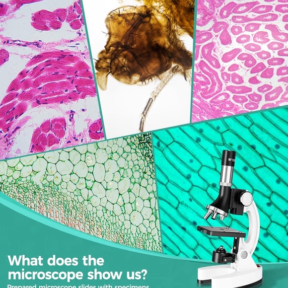 Microscope Science Kit with Built-in LED - Picture 4 of 4